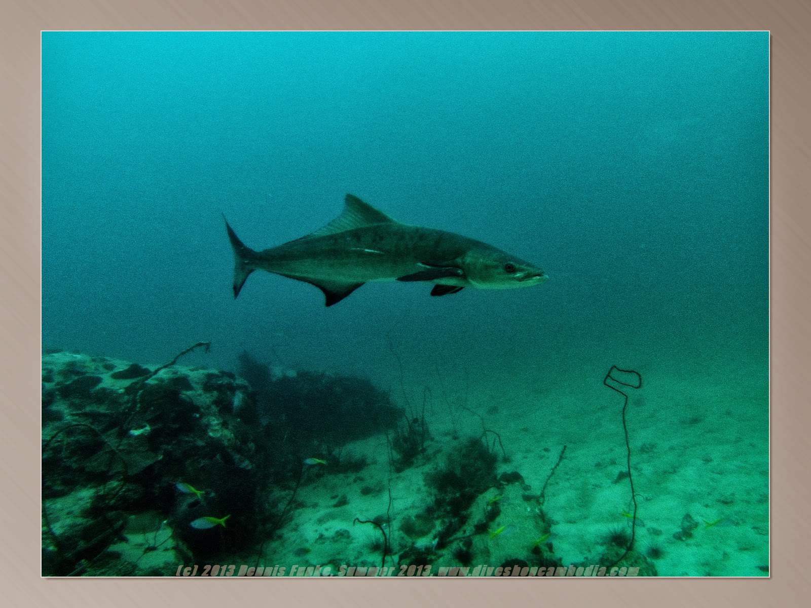 Exploration Trip to the Depond Reef